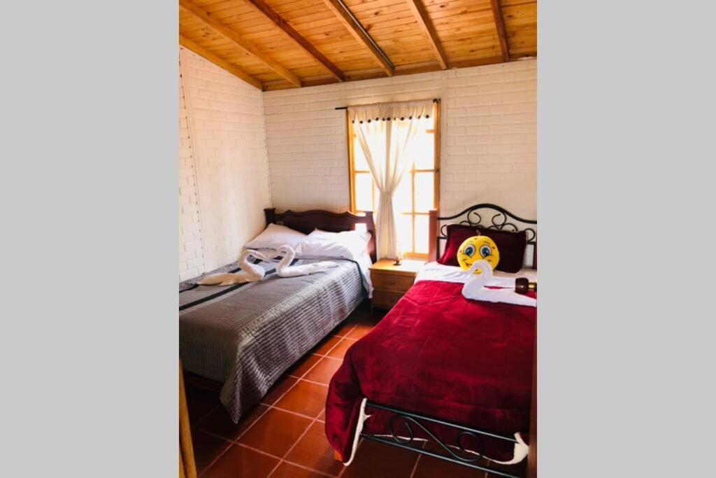 Cabana Buenavista Es Un Lugar Para Descansar. إيزا المظهر الخارجي الصورة