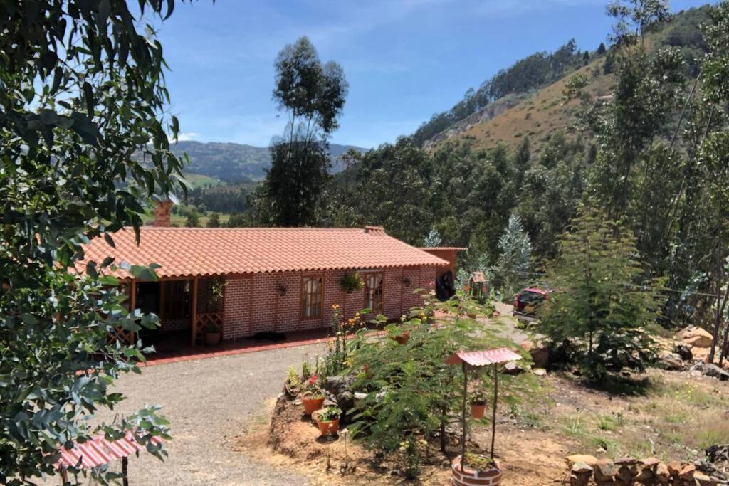 Cabana Buenavista Es Un Lugar Para Descansar. إيزا المظهر الخارجي الصورة
